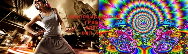 герыч Алзамай