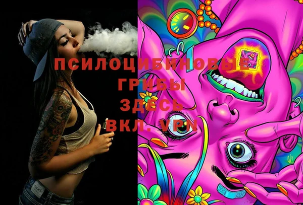 МДМА Алексеевка
