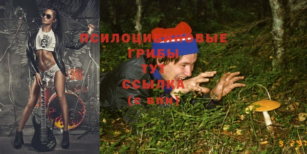 МДМА Алексеевка