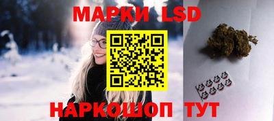 apvp Канаш